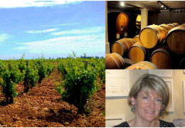 LE DOMAINE TOUR SAINT MICHEL : UNE FAMILLE, UN TERROIR, UN PATRIMOINE