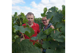 DOMAINE DES RUAULTS: DES VINS DE PLAISIR AU CŒUR DU SAUMUROIS