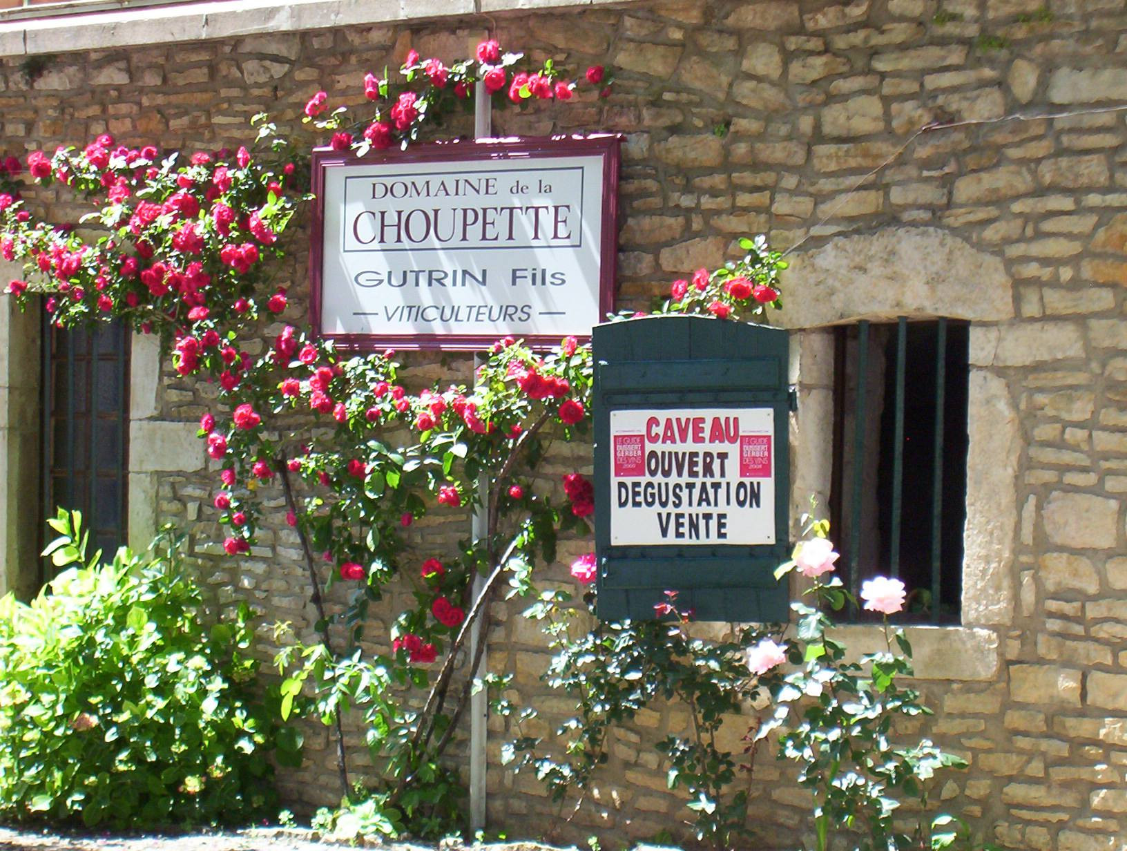 Shop banner